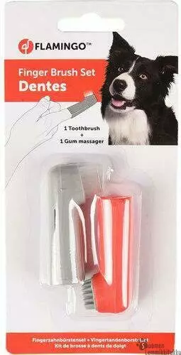 Karlie Sormihammasharjat 2 kpl /pkt - Koiran silmien, korvien, hampaiden hoito - 39676 - 1