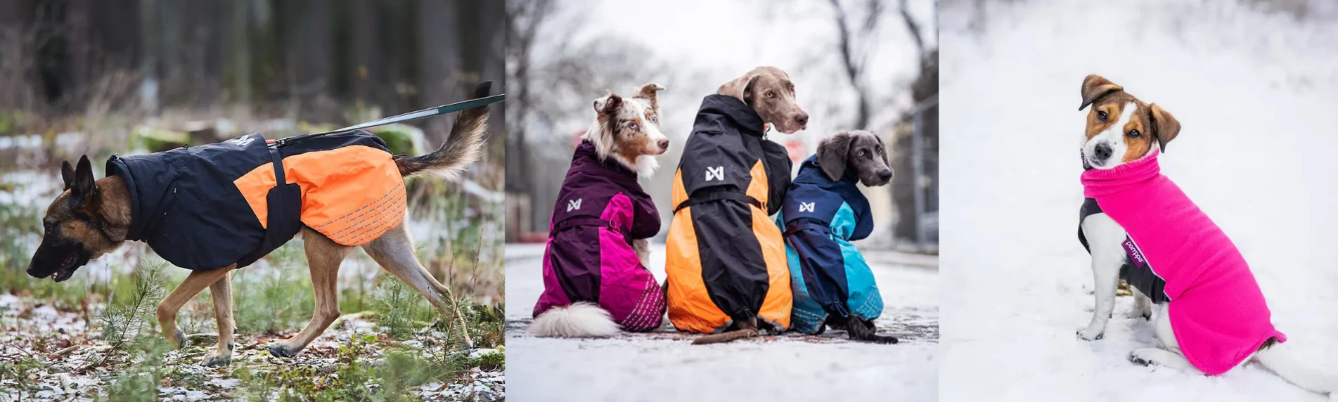 Talvivaatteet koirille 10