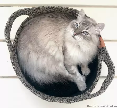 D&d Collection Kissankori Tod cat, ruskea - Kissan pedit, makuualustat ja luolat - 37750 - 2