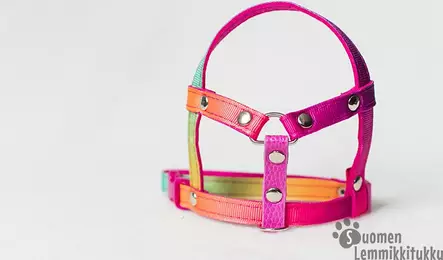 Lavellas Lapavaljas pinkki - Valjaat ja taluttimet - 40410 - 1