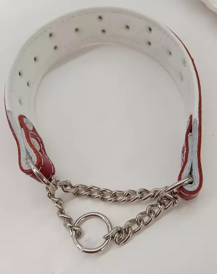 Nahkanasta puolikiristävä panta - Koiran puolikiristävät pannat - 39340 - 2