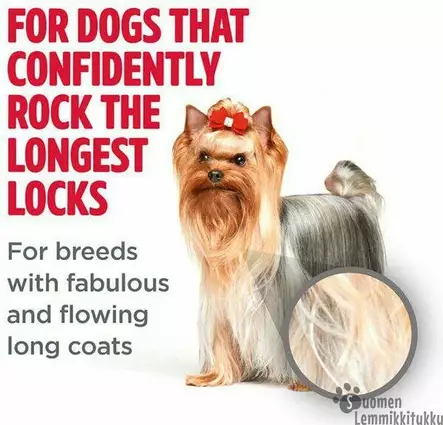 Perfect Fur, Shampoo pitkälle turkille 473ml, lhasa apso, yorkshiren terrieri, maltankoira, shih tzu ja muille pitkäkarvaisille roduille. - Koiran shampoot - 40670 - 2