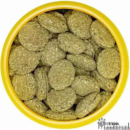 JBL Pronovo Pleco Wafer, imumonneille - Akvaario - 42000 - 2