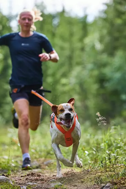 Non-stop Free Motion 5.0 vetovaljaat - Koiran vetovaljaat - 40791 - 2
