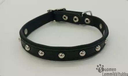 Nahkanasta Nahkainen niittipanta - Koiran nahkapannat - 411431 - 1