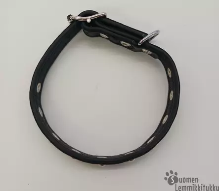 Nahkanasta Nahkainen niittipanta - Koiran nahkapannat - 411431 - 2