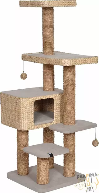 Palawan - Kissan raapimapuut - 39461 - 1