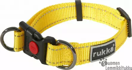 Rukka Pets Bliss panta Keltainen - Koiran pistolukkopannat - 41071 - 1