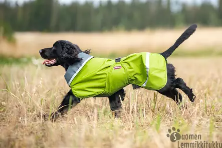 SadePomppa Lime - Koiran vettä pitävät takit - 41591 - 2