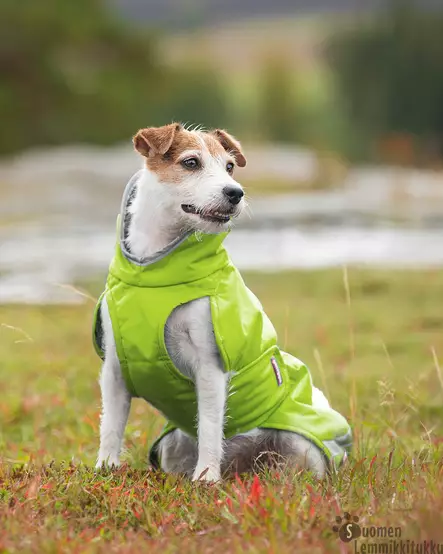 PerusPomppa Lime, koot 52cm ja 56 cm - Koiran talvitakit - 42152 - 2