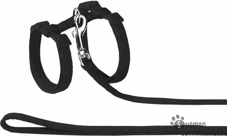 Nobby kissan valjas-setti - Kissan valjaat - 38982 - 1