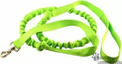 Alac Vetoliina - Koiran nylonhihnat - 39482 - 1