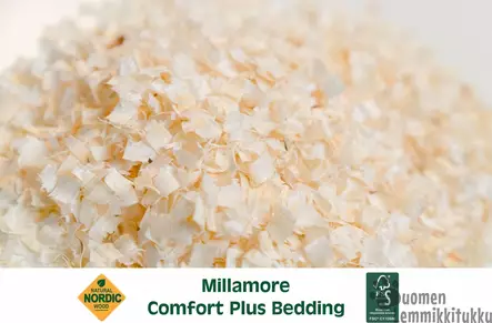 MIllamore Comfort Plus 25l n.1,4kg - Kanin ja jyrsijän heinät, kuivikkeet - 42273 - 2