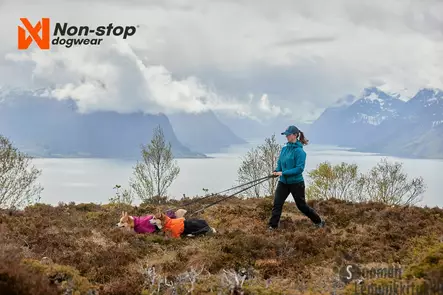 Non-stop Fjord Sadetakki oranssi/musta - Koiran talvitakit - 40104 - 2