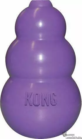 Kong Kitty Kong - Kissan aktivointilelut ja pelit - 41104 - 2