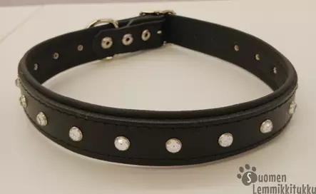 Nahkapanta koiralle strasseilla, yksirivinen - Koiran nahkapannat - 39404 - 1