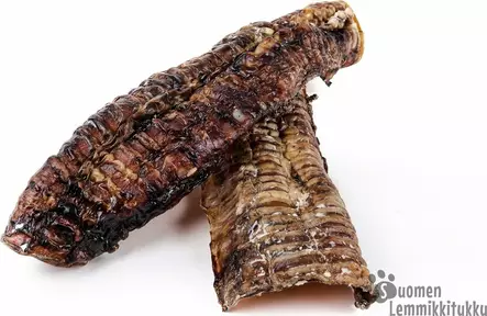 Naudan henkitorvi pitkä 1kpl - Kuivatut ruhon osat koiralle - 41044 - 1