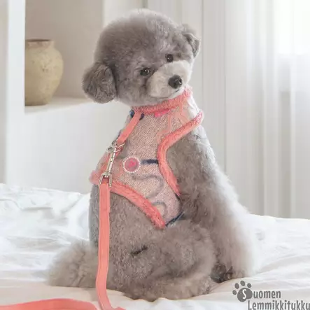 Pinkaholic Freesia takkivaljas - Koiran valjaat - 42195 - 2