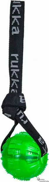 Geelipallo nauhalla - Koiran palkkauslelut - 40265 - 1