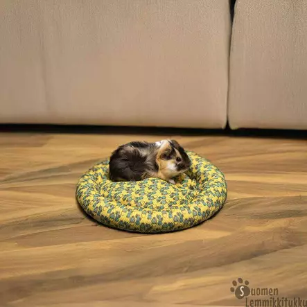 Ozami Pieneläinpeti Cactus vihreä - Kanin ja jyrsijän mökit ja sisustus - 42295 - 2