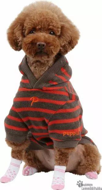 Koiran sukat liukuesteellä, Polka Dot valkoinen - Koiran tossut - 40946 - 2