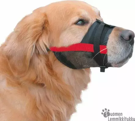 Kuonokoppa Nylonia - Koiran hoitotarvikkeet ja kuonokopat - 39086 - 2