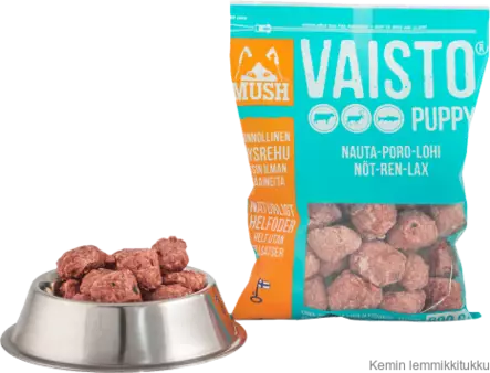 Mush Vaisto Puppy jäänsininen 8x800g, Nauta-poro-lohi - Mush raakaruoka - 37296 - 1