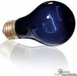 Night Heat Lamp - Muut pieneläimet - 42086 - 2