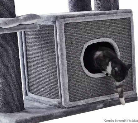 Nobby Raapima- ja kiipeilypuu Yanko - Kissan raapimapuut - 37196 - 2