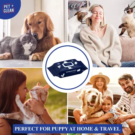 Pet Clean yleispuhdistuspyyhe 100kpl - Koiran hoitotarvikkeet ja kuonokopat - 42966 - 2