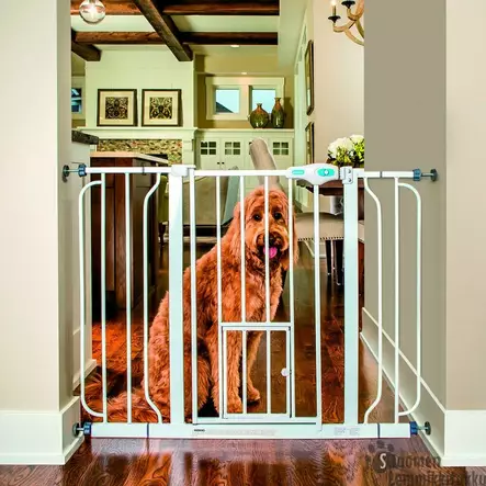 Carlson Leveä Lemmikkiportti - Koiraportit ja aitaukset sisälle - 38697 - 1