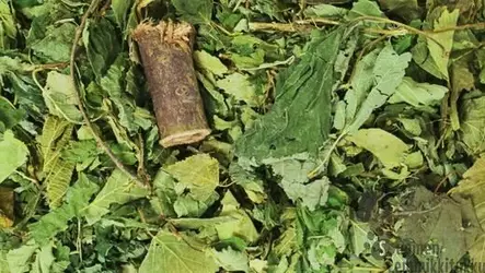 Metsäsekoitus 100g (erityisesti Chinchilloille - Kanin ja jyrsijän herkut - 41447 - 2