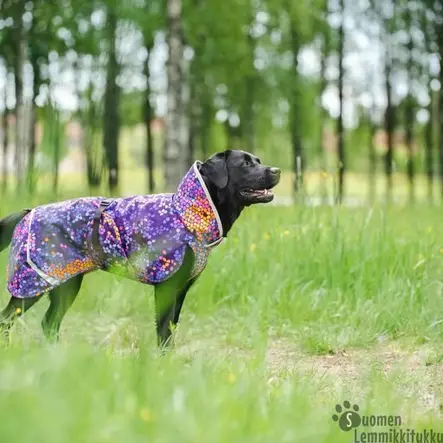 PerusPomppa Curry, koko 25cm - Koiran talvitakit - 42157 - 2