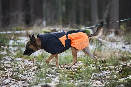 Glacier jacket 2.0 koiran talvitakki, liila, purple - Koiran talvitakit - 42268 - 2