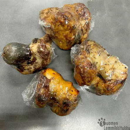 Naudan polvilumpio - Luut koiralle - 39678 - 1