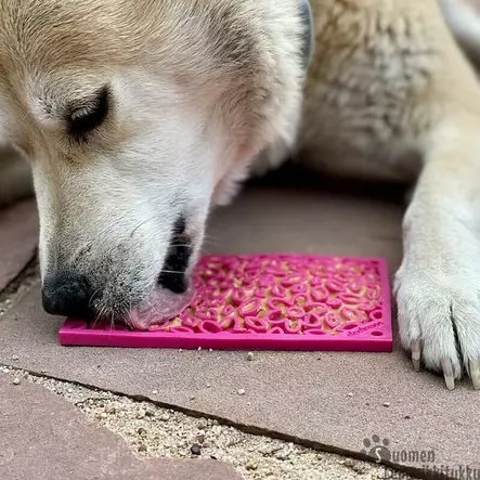 SodaPup nuolumatto Flower Power - Koiran aktivointi- ja ahmimisenestokupit - 41578 - 2