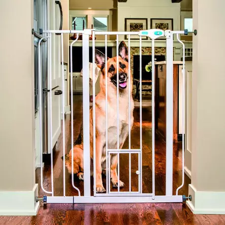 Carlson Korkea lemmikkiportti - Koiraportit ja aitaukset sisälle - 38699 - 1