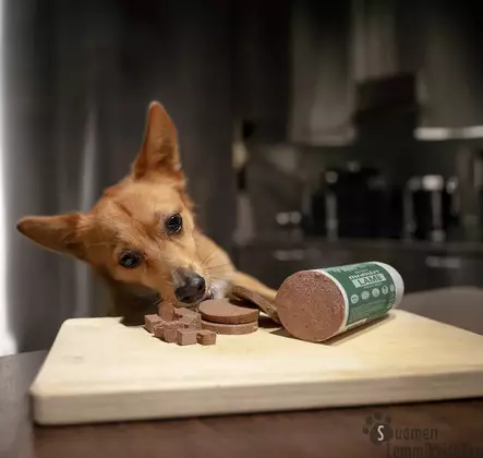 Dog Sausage Duck, ankka- treenimakkara 200g - Treenimakkarat koiralle - 42659 - 2