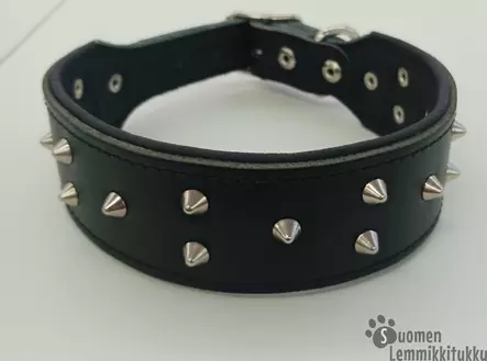 Nahkanasta Leveä nahkainen niittipanta - Koiran nahkapannat - 39929 - 1