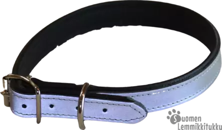 Nahkanasta nahkainen solkipanta - Koiran nahkapannat - 41139 - 1