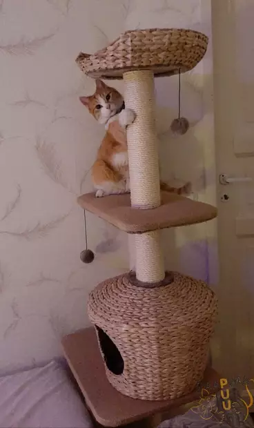 Nobby Raapimapuu Nanuk - Kissan raapimapuut - 37149 - 2