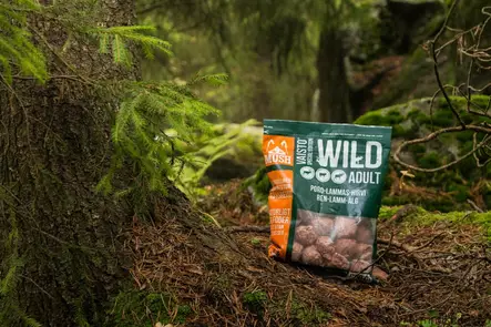 Mush Vaisto wild 800g - Koiran raakaruoka - 37349 - 1