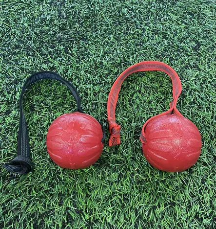 Vijue Pekonipallo Gripillä - Koiran palkkauslelut - 48719 - 1