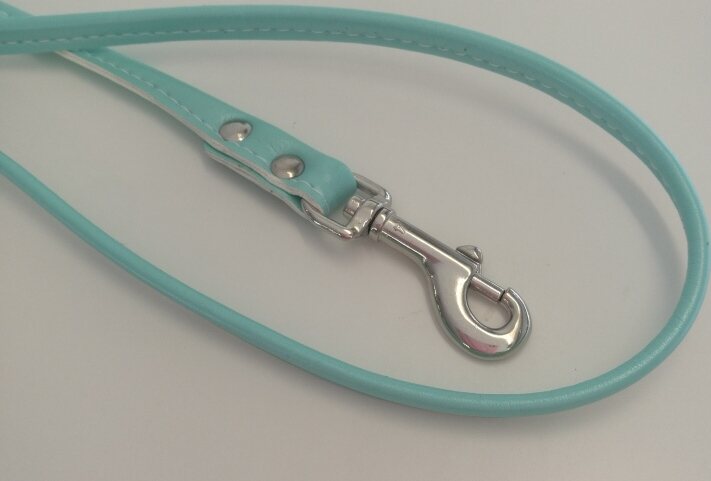 Nahkanasta Pyöreä pastellitalutin Turkoosi