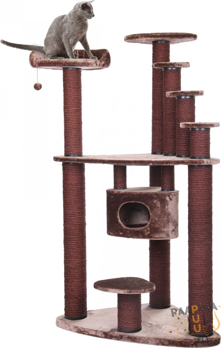 EBI Raapimapuu Rocky Mountain Ruskea