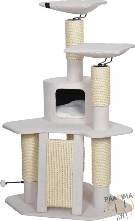 EBI Japani-sarjan raapimapuu Nagano White