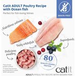 Catit Recipies Adult Kala 400g