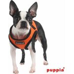 Puppia Soft Vest takkivaljaat B, Royal Blue