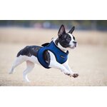 Puppia Soft Vest takkivaljaat B, Royal Blue