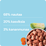 Nutriment By rauh! Nauta-Kana-Kasvikset 1 kg, pennuille